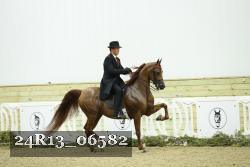 24R13_06582 thumbnail
