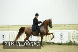 24R13_06583 thumbnail