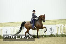 24R13_06587 thumbnail
