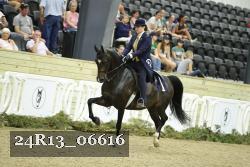 24R13_06616 thumbnail