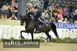 24R13_06619 thumbnail