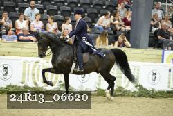 24R13_06620 thumbnail