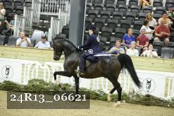 24R13_06621 thumbnail