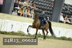 24R13_06622 thumbnail