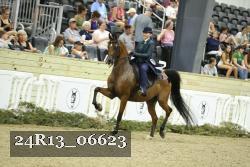 24R13_06623 thumbnail