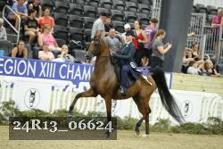 24R13_06624 thumbnail
