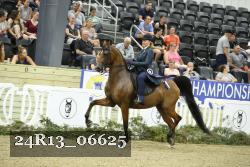 24R13_06625 thumbnail