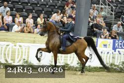 24R13_06626 thumbnail