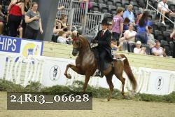 24R13_06628 thumbnail