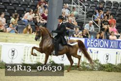 24R13_06630 thumbnail