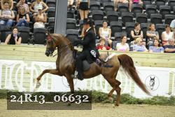 24R13_06632 thumbnail