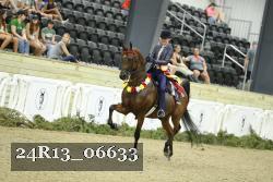 24R13_06633 thumbnail