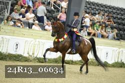 24R13_06634 thumbnail