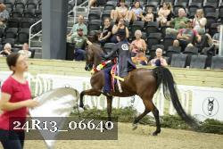 24R13_06640 thumbnail