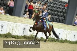 24R13_06642 thumbnail