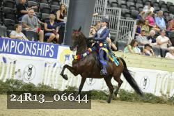 24R13_06644 thumbnail