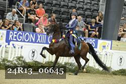 24R13_06645 thumbnail