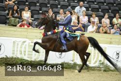 24R13_06648 thumbnail