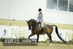 24R13_06673 thumbnail