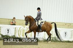 24R13_06676 thumbnail