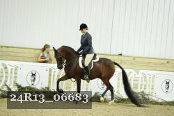 24R13_06683 thumbnail