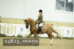 24R13_06689 thumbnail