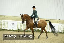 24R13_06693 thumbnail