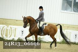 24R13_06696 thumbnail