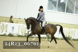 24R13_06701 thumbnail