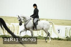 24R13_06703 thumbnail