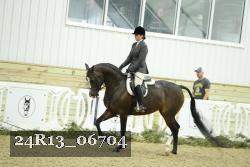 24R13_06704 thumbnail