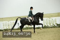 24R13_06730 thumbnail