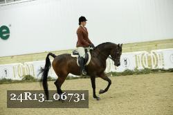 24R13_06731 thumbnail