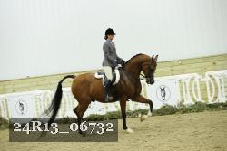 24R13_06732 thumbnail