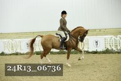 24R13_06736 thumbnail