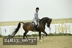 24R13_06737 thumbnail