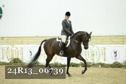24R13_06739 thumbnail