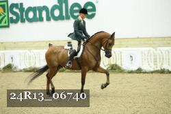 24R13_06740 thumbnail