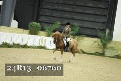 24R13_06760 thumbnail