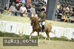24R13_06761 thumbnail