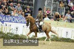 24R13_06762 thumbnail