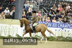 24R13_06763 thumbnail