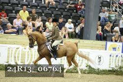24R13_06764 thumbnail