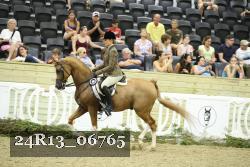 24R13_06765 thumbnail