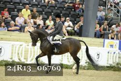 24R13_06769 thumbnail
