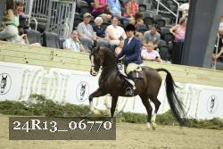 24R13_06770 thumbnail