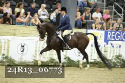 24R13_06773 thumbnail