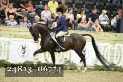 24R13_06774 thumbnail