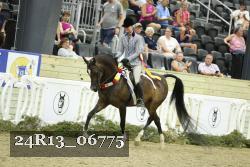24R13_06775 thumbnail