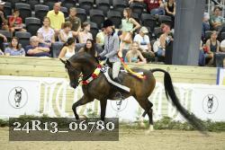 24R13_06780 thumbnail